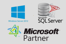 Microsoft, SQL Server, Windows2008, VMWare