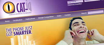 CATiq website