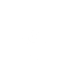 Kitchen on a Mission